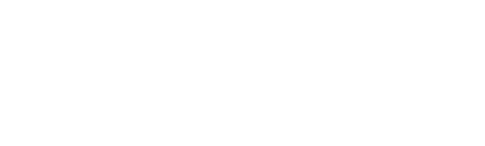 business law and franchise counsel